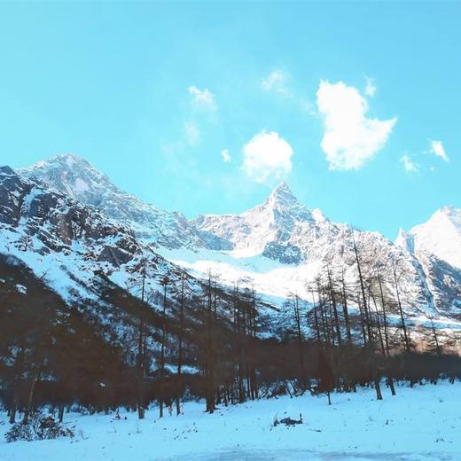 毕棚沟 达古冰川 双日游 三环小车接早真纯玩来一场美的邂逅 商品图2