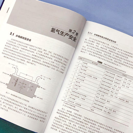 氢安全-氢能利用关键技术系列 商品图4