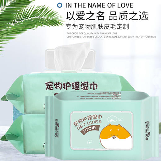 厂家直销 宝莱美露宠物湿巾纸100抽 无酒精无刺激犬猫通用 商品图3