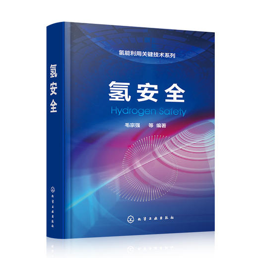 氢安全-氢能利用关键技术系列 商品图0