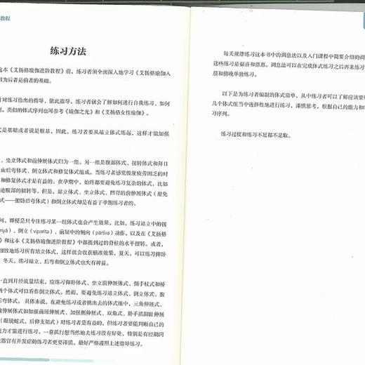 进阶教程/艾扬格瑜伽 商品图4