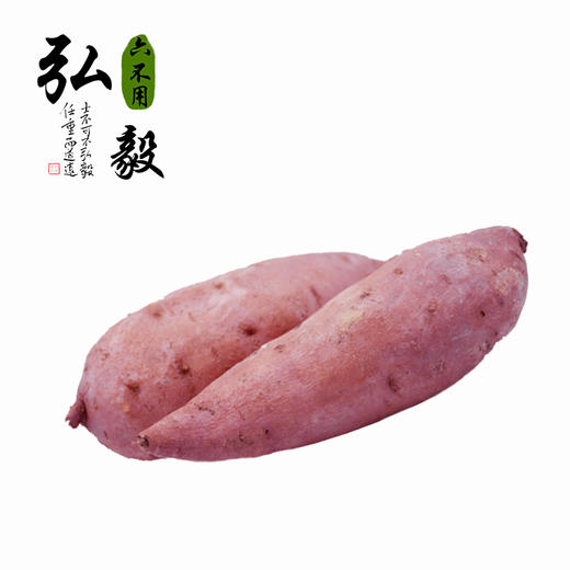 【弘毅六不用生态农场】六不用红薯淀粉250g/份 商品图2