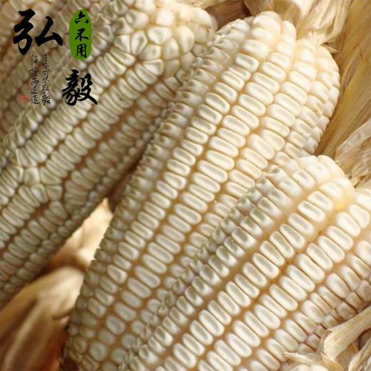 【弘毅六不用生态农场】六不用东陵白玉米碴 1斤/份 三份包邮 商品图2