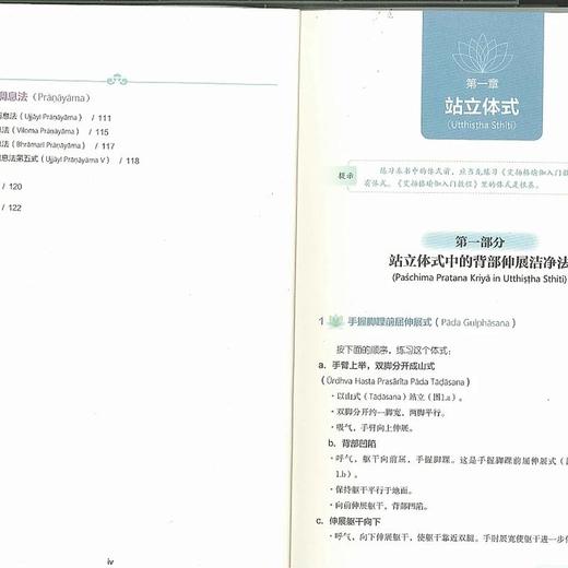 进阶教程/艾扬格瑜伽 商品图2