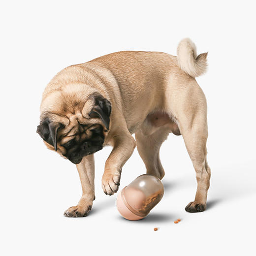 pidan不倒翁漏食球胶囊款狗狗漏食球慢食器狗狗益智玩具宠物用品 商品图3