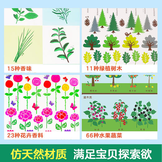 来，闻闻水果的味道+来，闻闻带自然的味道（两册）原价139.6 商品图3