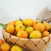 【劲爽带皮吃】正宗广西融安金桔 滑皮&脆蜜 超大颗 无酸无涩 甜脆爽口 细腻清脆 商品缩略图3