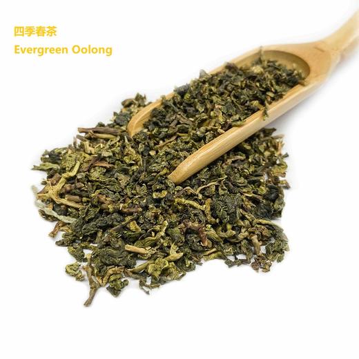 中国传统茶CHINESE TEA 茶包 2.5-3g*50包 商品图7