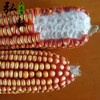 【弘毅六不用生态农场】六不用 灯笼红玉米碴 自留种 1斤/份 商品缩略图3