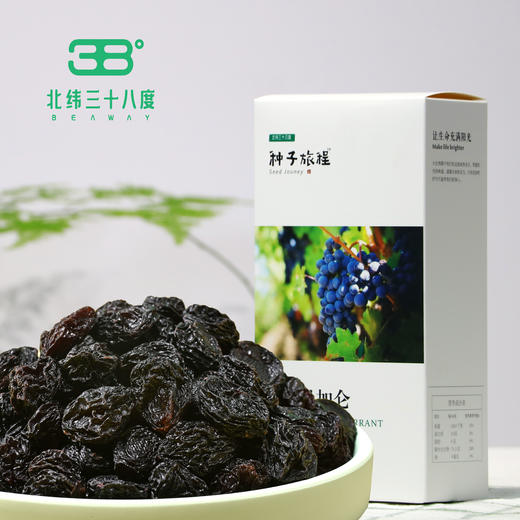 北纬纯净食品│新疆原味黑加仑葡萄干300g 商品图0