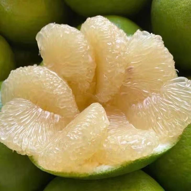 【全国包邮】以色列青柚15新鲜上市, 清甜爽口,超水超嫩,柚香满溢