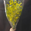配花-柠檬黄跳舞兰-10支/扎 商品缩略图1