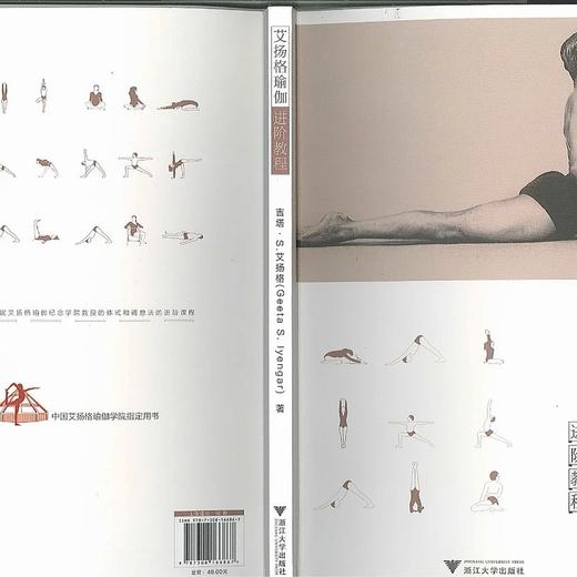 进阶教程/艾扬格瑜伽 商品图6