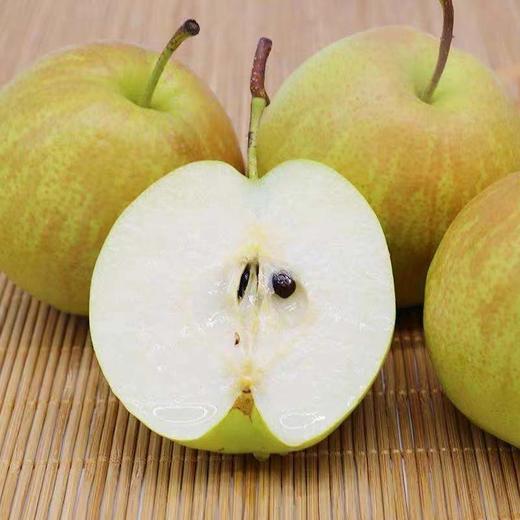 爆款推荐~【玉露香梨】精品果，多规格任选， 梨中贵族，值得拥有 商品图0