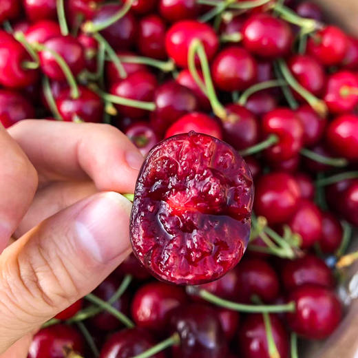现货顺丰空运智利车厘子颗颗饱满果肉细腻多汁2磅5斤原装礼盒