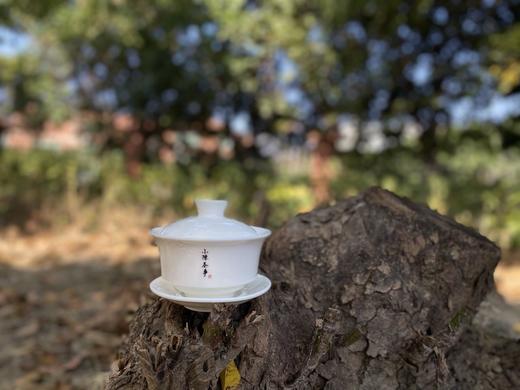 茶友们人手一只的盖碗，小陈茶事独家定制标准盖碗（110毫升）火热热卖中 商品图0