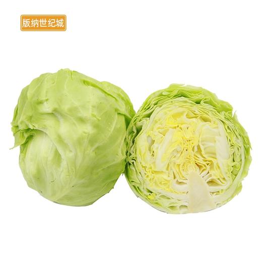 【bn】莲花白/包菜 1.2~1.4kg/份
