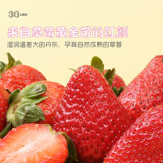 香芒草莓大满足，可选1.5/2.5/3.5/6磅（s）okt 商品图3