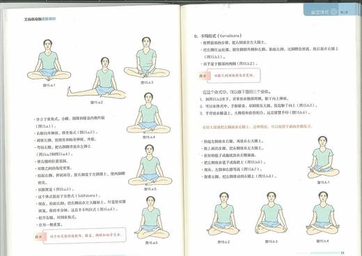 进阶教程/艾扬格瑜伽 商品图7