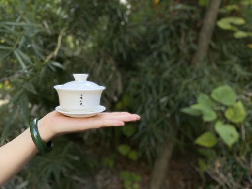 茶友们人手一只的盖碗，小陈茶事独家定制标准盖碗（110毫升）火热热卖中 商品图5