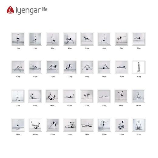 艾扬格Life大师挂画16张起售【现货】 商品图0