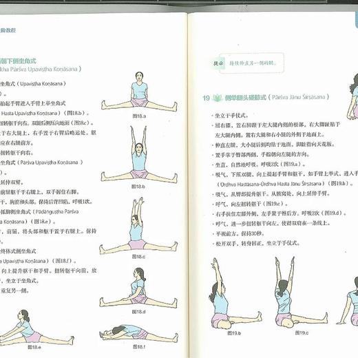 进阶教程/艾扬格瑜伽 商品图3