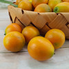 【劲爽带皮吃】正宗广西融安金桔 滑皮&脆蜜 超大颗 无酸无涩 甜脆爽口 细腻清脆 商品缩略图1