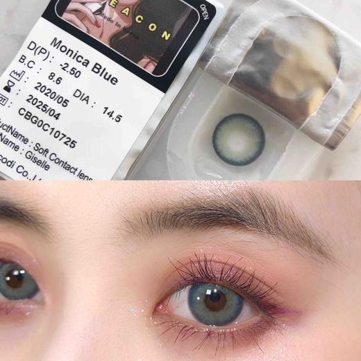 莫妮卡大直径年抛 商品图0