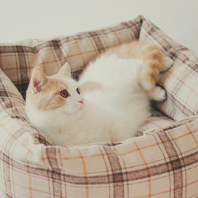 【北欧风猫窝 毛呢格子猫窝】CatsCity 北欧风 毛呢格子 猫窝 可拆洗 秋冬 保暖 猫床 宠物床 深度睡眠