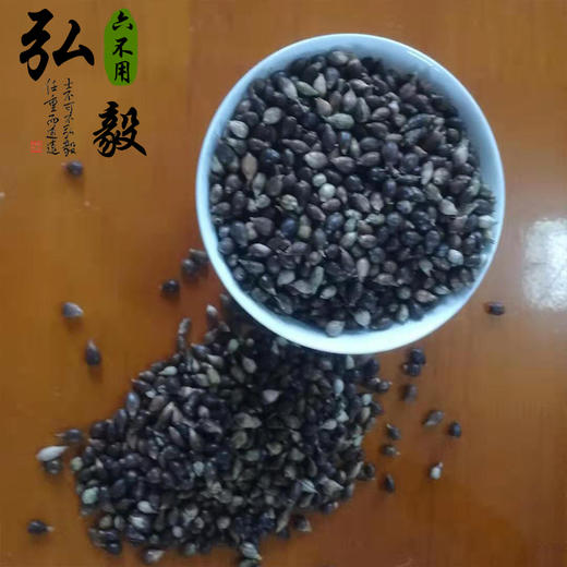 【弘毅六不用生态农场】 薏米籽粒  可留种 250g/份 商品图1