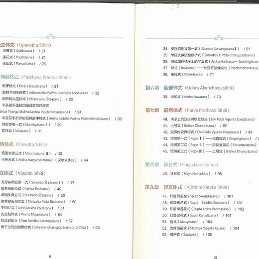 进阶教程/艾扬格瑜伽 商品图1