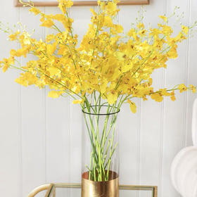 配花-柠檬黄跳舞兰-10支/扎