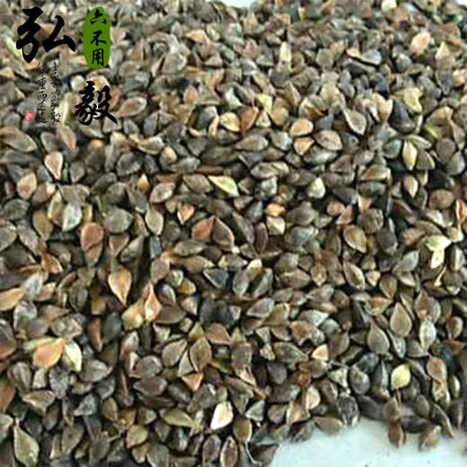 【弘毅六不用生态农场】荞麦籽粒，老品种   山东包邮 一斤/份 商品图1