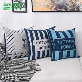 托特纳姆热刺 蓝白拼接抱枕THFCBZ01