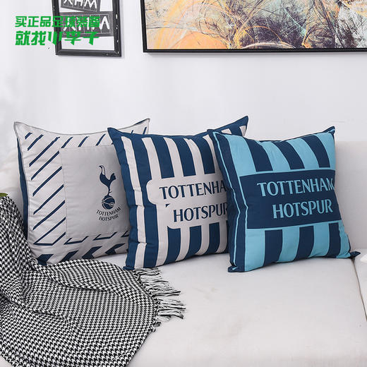 托特纳姆热刺 蓝白拼接抱枕THFCBZ01 商品图0