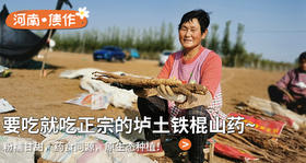  小雪后，吃肉不如吃它！人称“小人参”，常吃脾胃好，营养不长胖 