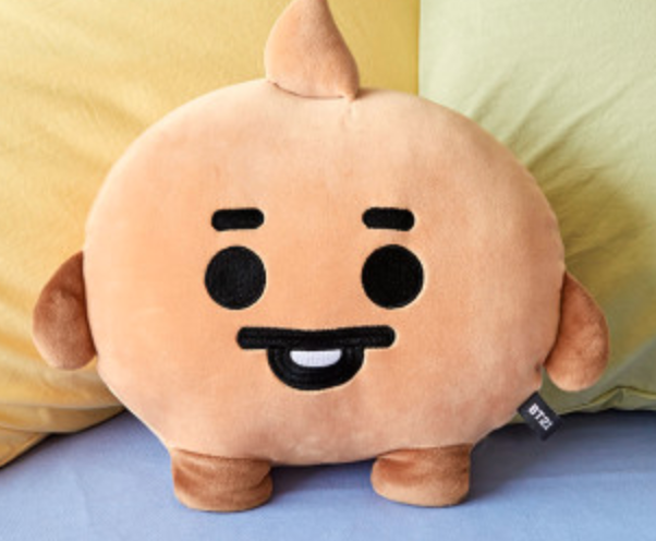 韩国 可爱Line Friends BT21 SHOOKY BABY拥抱我靠垫JPY带授权招加盟代理