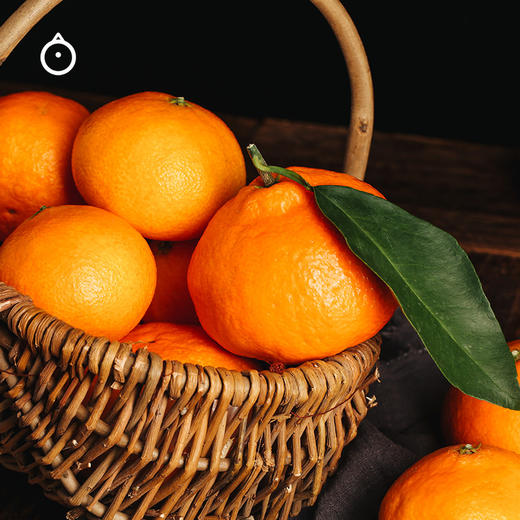 象山红美人柑橘 5斤装 新鲜水果爱媛橘子