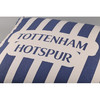 托特纳姆热刺 蓝白拼接抱枕THFCBZ01 商品缩略图2