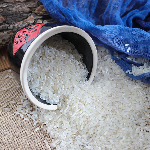 【疫情管控地区停发】米妹妹五常稻花香大米（清香型）5kg 商品图3