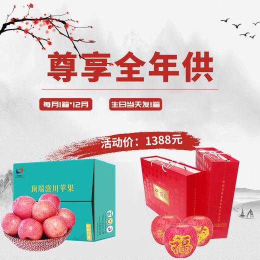 年供款【给远方的父母或者在外上学孩子的礼物】正宗洛川红富士苹果全年供40枚75mm品质中果 脆甜新鲜 商品图6