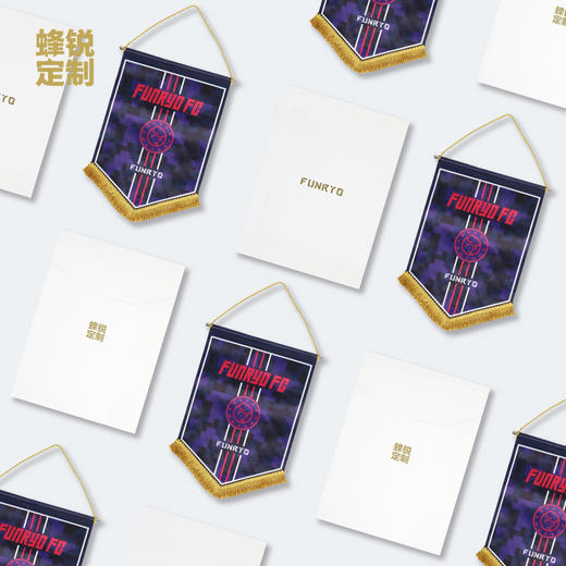 FUNRYO蜂锐个性定制交换队旗 商品图2