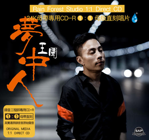 王闻2018全新专辑《梦中人》母带级直刻1:1CD 商品图3