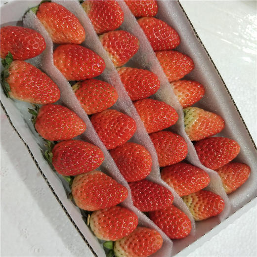 云南双流草莓 商品图2