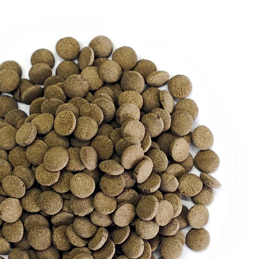 百因美异型底栖鱼饲料水族观赏鱼清道夫鼠鱼招财猫下沉沉底形鱼食190g 商品图4