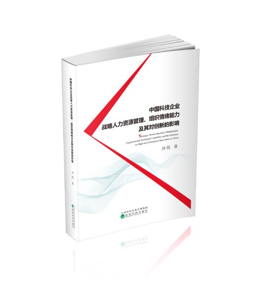 中国科技企业战略人力资源管理、组织情绪能力及其对创新的影响 商品图0