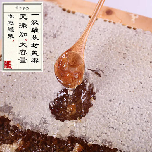 一级熟蜜罐装封盖蜜 蜂蜜 天然无污染 485g/罐 商品图2