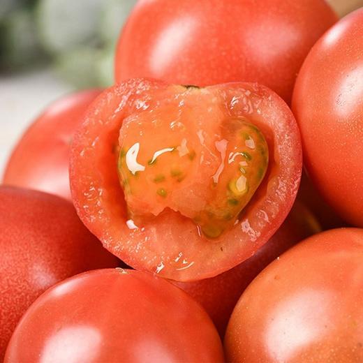 【皇柿番茄】4斤/箱  肉甜糖度高 汁酸味道足 商品图0
