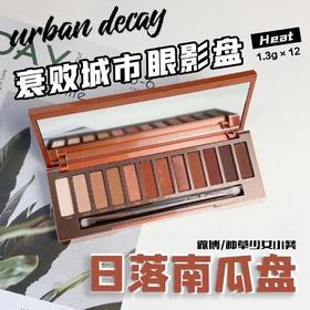 衰败城市眼影盘