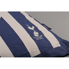 托特纳姆热刺 蓝白拼接抱枕THFCBZ01 商品缩略图3